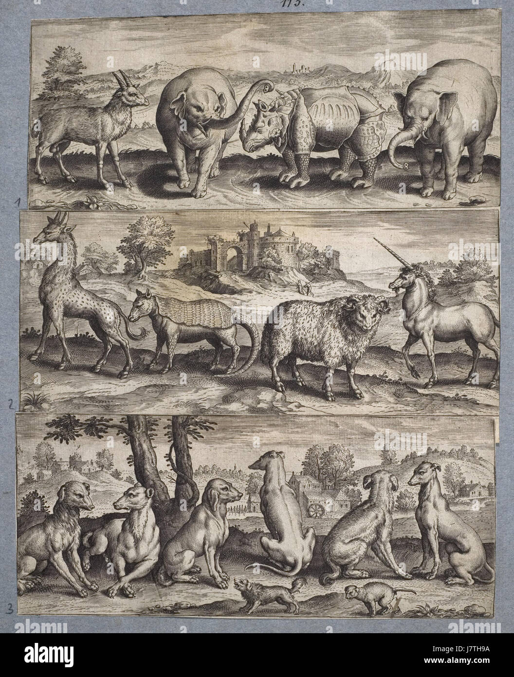 Arolsen Klebeband 13, datant de 1891, fait partie des archives des Archives Arolsen, qui documentent les expériences des victimes du régime nazi. Cette pièce fournit des informations historiques importantes sur les expériences en temps de guerre. Banque D'Images