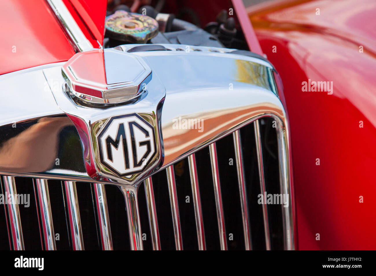 La grille avant d'une voiture de sport britannique, 1955 MG TF 1500 Roadster sur l'affichage de Franklin, Tennessee, États-Unis Banque D'Images