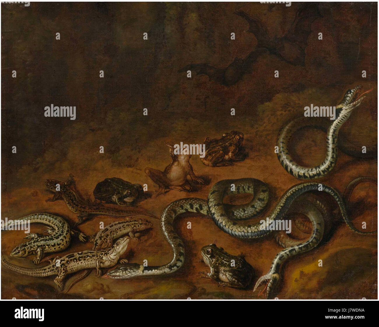 Carstiaen Luyckx (attr.) Scène de la forêt avec des serpents et des grenouilles Banque D'Images