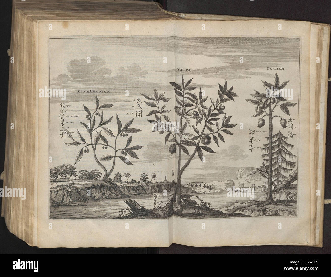 Il s'agit d'une œuvre ou d'un document commémoratif datant de 1670, relié à l'Université Radboud de Nimègue, aux pays-Bas. Le travail se concentre probablement sur des événements historiques ou des activités notables de cette époque, en référence à un numéro ou un code d'identification précis, peut-être à des fins d'archivage. Banque D'Images