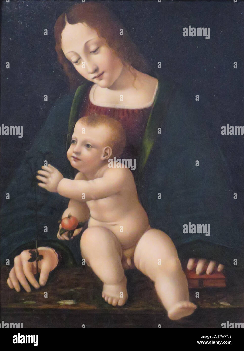 Cette peinture, 'Madone et enfant', attribuée à un disciple de Giovanni Antonio Boltraffio, fait partie de la collection du musée El Paso d'Art. L'œuvre reflète les influences stylistiques de l'artiste italien de la Renaissance, connu pour ses représentations détaillées et sereines de sujets religieux. Banque D'Images