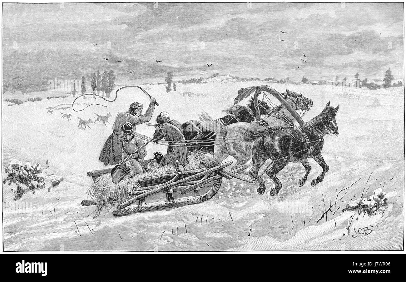 Scène nocturne représentant une rencontre au clair de lune avec des loups en Russie, créée par James carter Beard. L'image souligne la beauté naturelle et le mystère de la nature sauvage, mettant en vedette des loups dans leur habitat naturel sous la lueur de la lune. Banque D'Images Scène nocturne représentant une rencontre au clair de lune avec des loups en Russie, créée par James carter Beard. L'image souligne la beauté naturelle et le mystère de la nature sauvage, mettant en vedette des loups dans leur habitat naturel sous la lueur de la lune. Banque D'Images