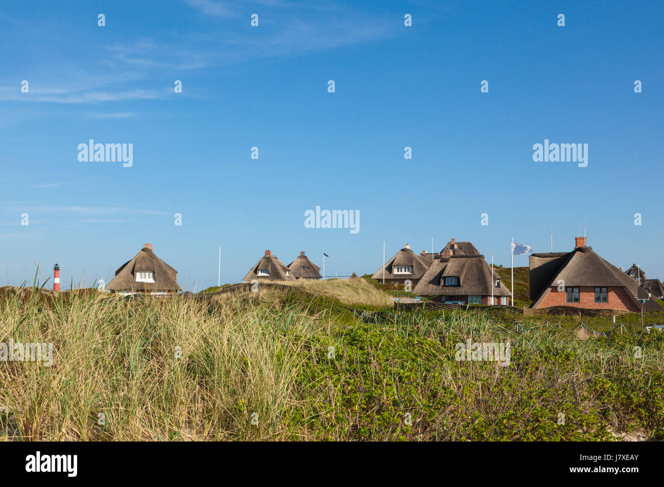 Toit de chaume, maisons d'été dans les dunes de Hörnum, Sylt. Phare en arrière-plan. Banque D'Images