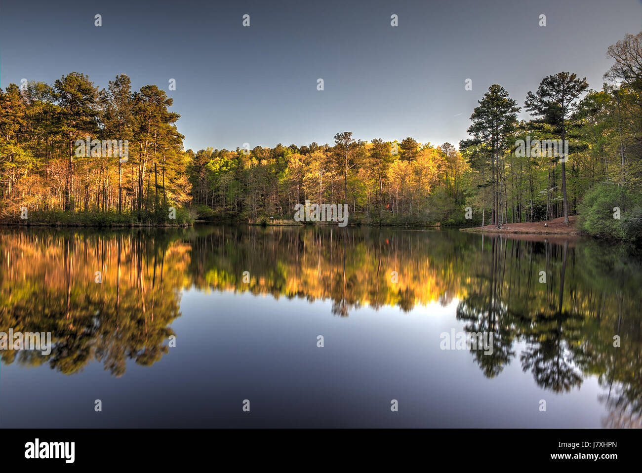 17 09234 dauset Banque D'Images