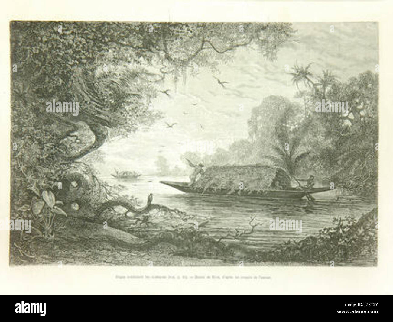 Cette phrase française se traduit par « Bogas conduisant les champans ». Il fait probablement référence à une scène traditionnelle représentant le transport de marchandises ou de personnes, à l'aide de champans, un type de bateau ou de radeau, commun dans certaines régions françaises ou européennes. Banque D'Images