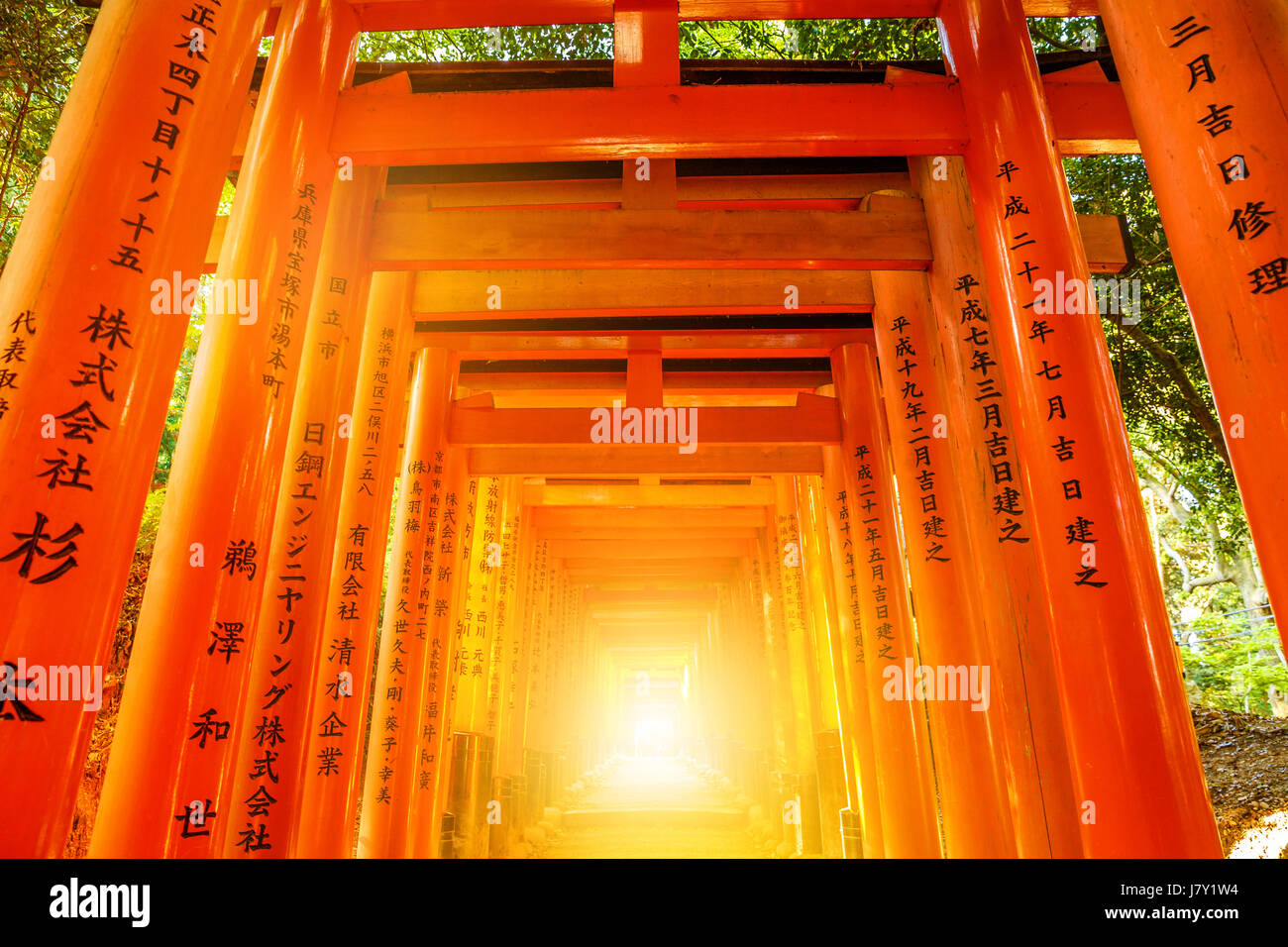 Fushimi Inari Torii gates Banque D'Images