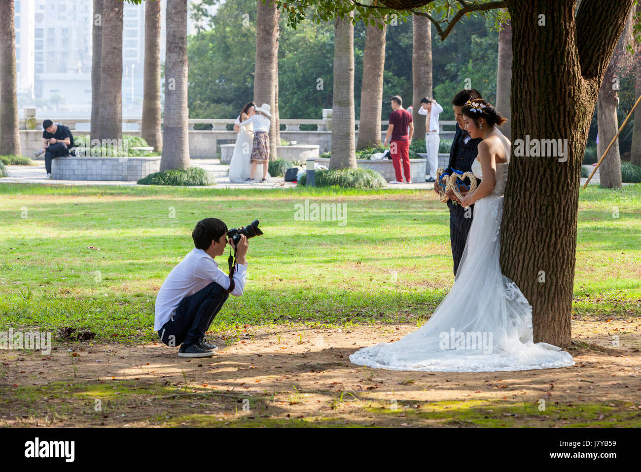 Wenzhou, Zhejiang, Chine. Jiangxin Island, un endroit populaire pour la photographie des nouveaux mariés ou les couples engagés. Banque D'Images