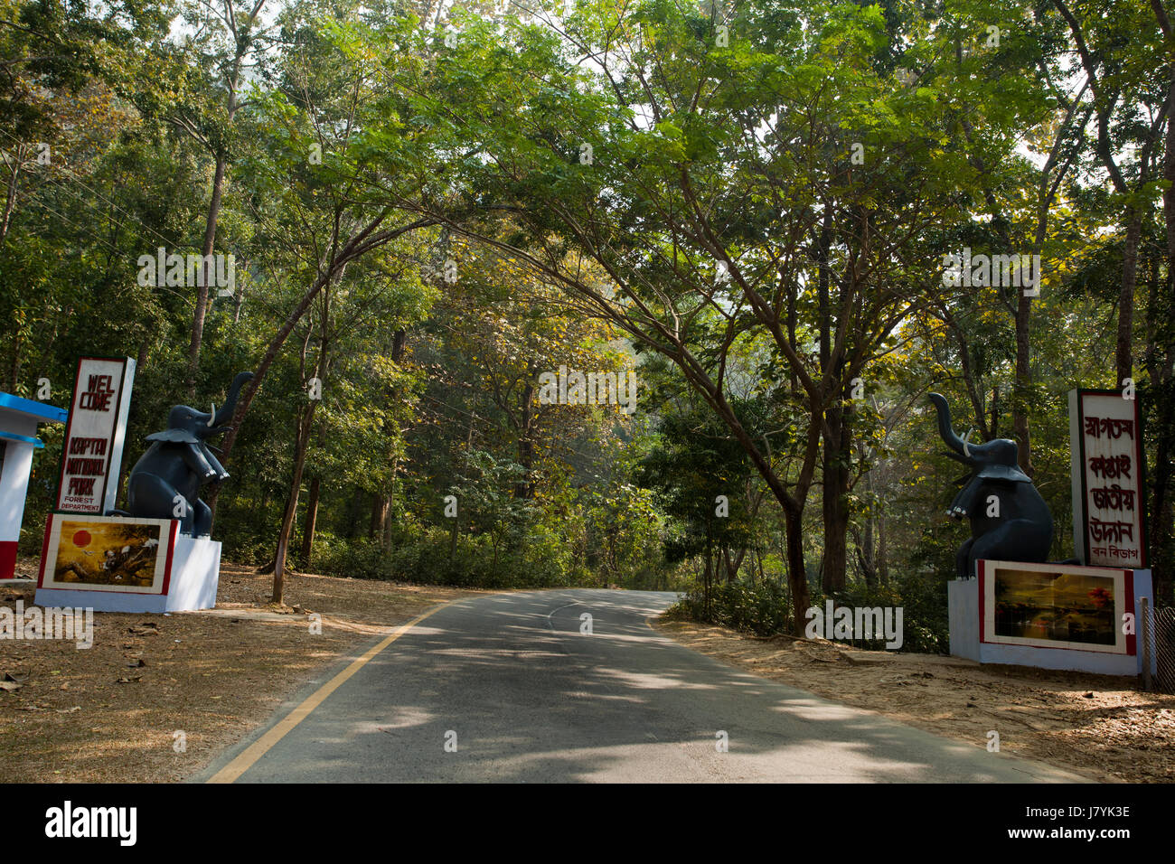 Parc national de Kaptai à Rangamati, au Bangladesh. Banque D'Images