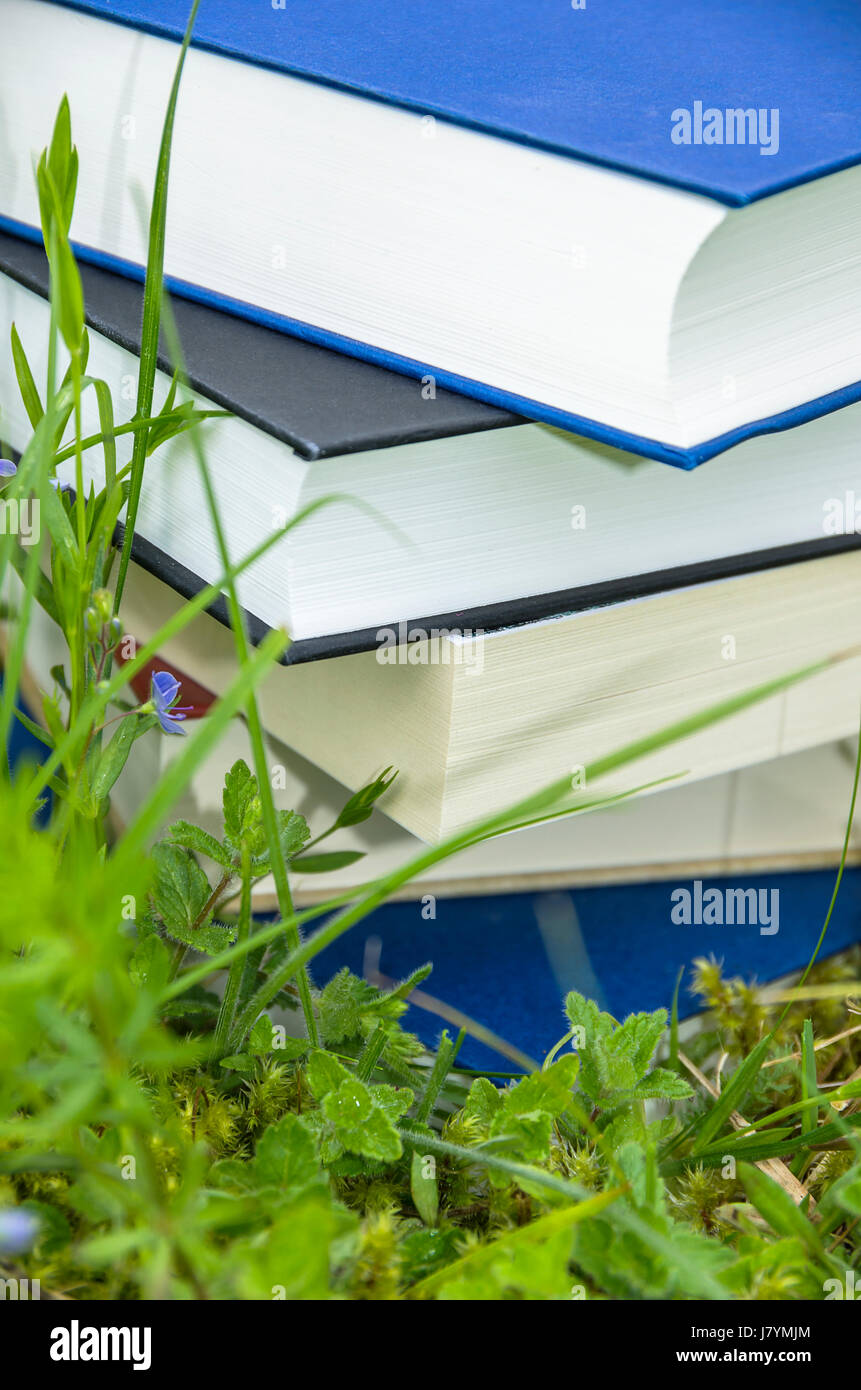 Pile de livres divers dans l'herbe verte fraîche. Banque D'Images