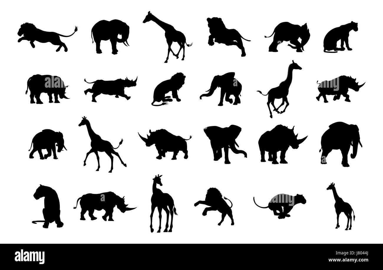 Un safari africain silhouette animale, y compris des éléphants, des girafes, des rhinocéros et des lions Banque D'Images