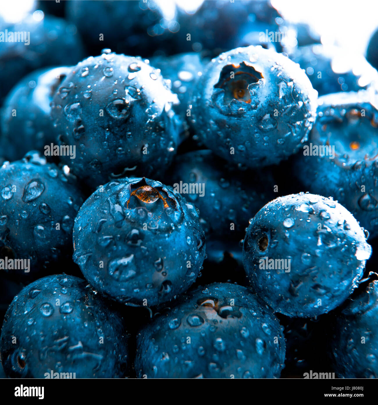Fruits Bleu bleuet humide eau goutte d'eau goutte d'éclat brille bleu Banque D'Images
