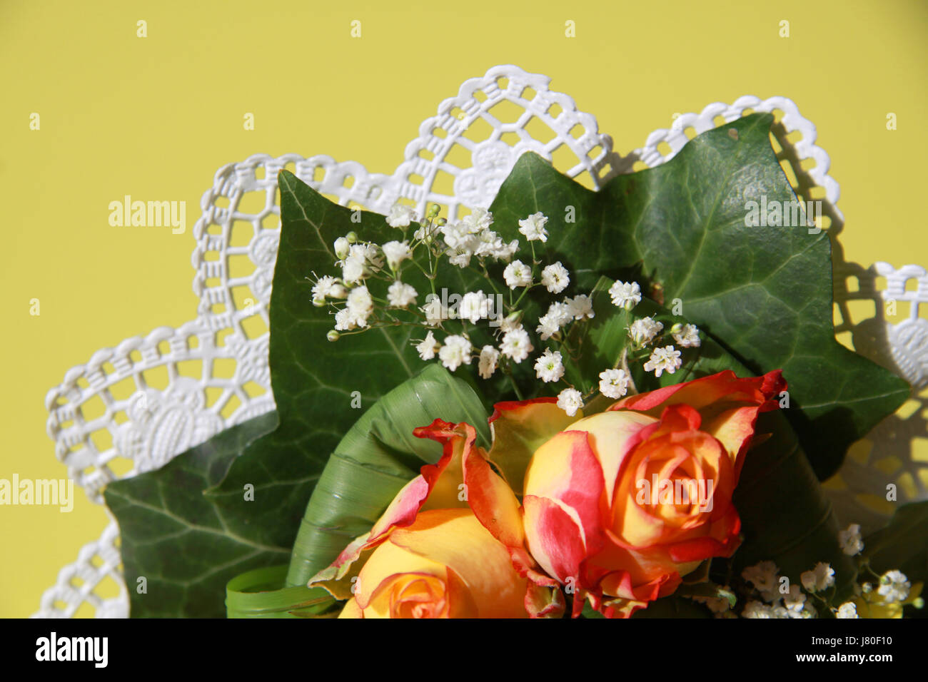 Fleur rose bouquet de plantes fleuriste fleuristes autruche gravel d'affaires Banque D'Images