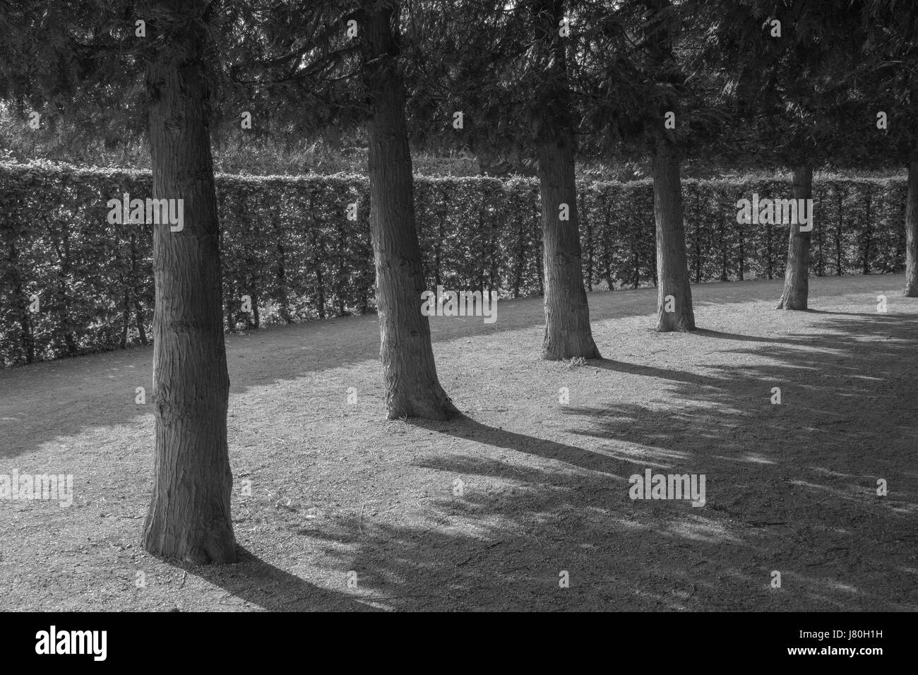 Sentier dans le parc Banque D'Images