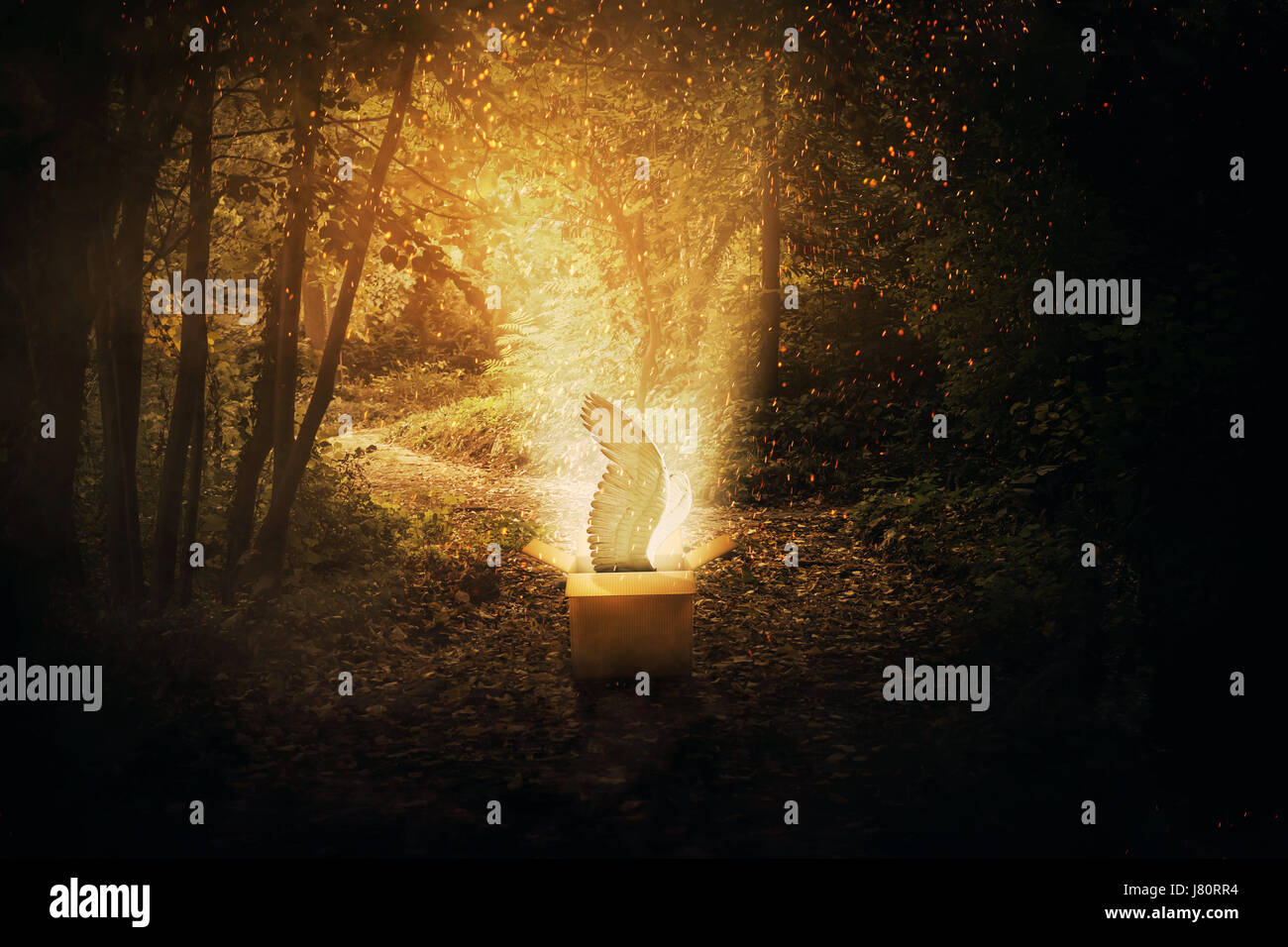 Boîte en carton magique ouvert dans une forêt sombre et un mystique créature avec d'ailes d'ange s'échapper par de nombreuses lucioles et scintille. La parcelle du p Banque D'Images