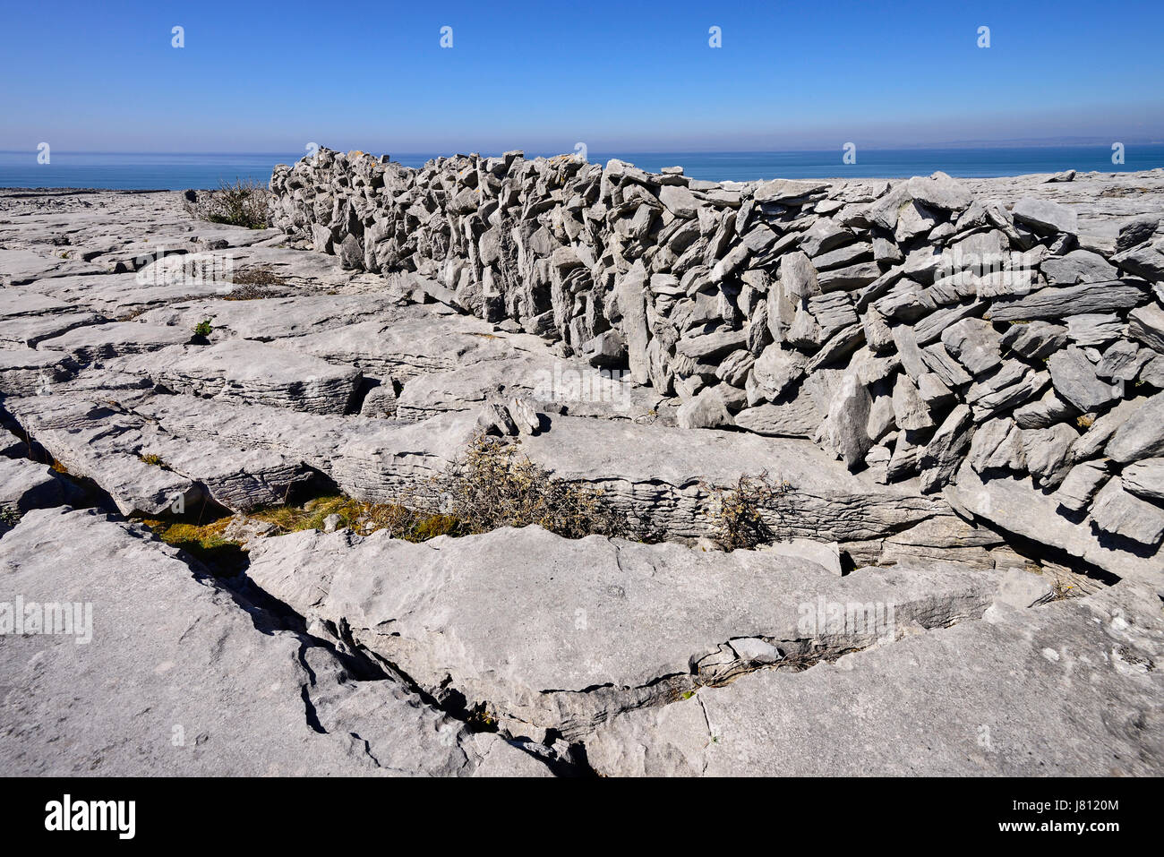 L'Irlande, le comté de Clare, le Burren, Clints et grykes en dessous d'un mur en pierre typique. Banque D'Images