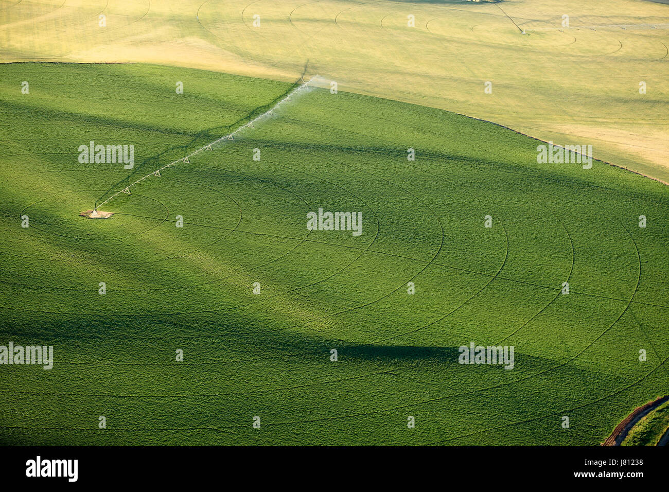 Une vue aérienne des terres agricoles et de pivot d'arrosage arroseurs les champs. Banque D'Images