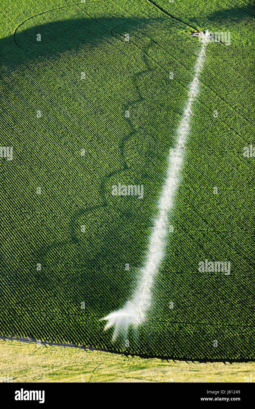 Une vue aérienne des terres agricoles et de pivot d'arrosage arroseurs les champs. Banque D'Images
