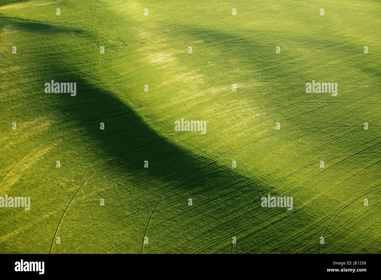 Une vue aérienne des terres agricoles et de pivot d'arrosage arroseurs les champs. Banque D'Images
