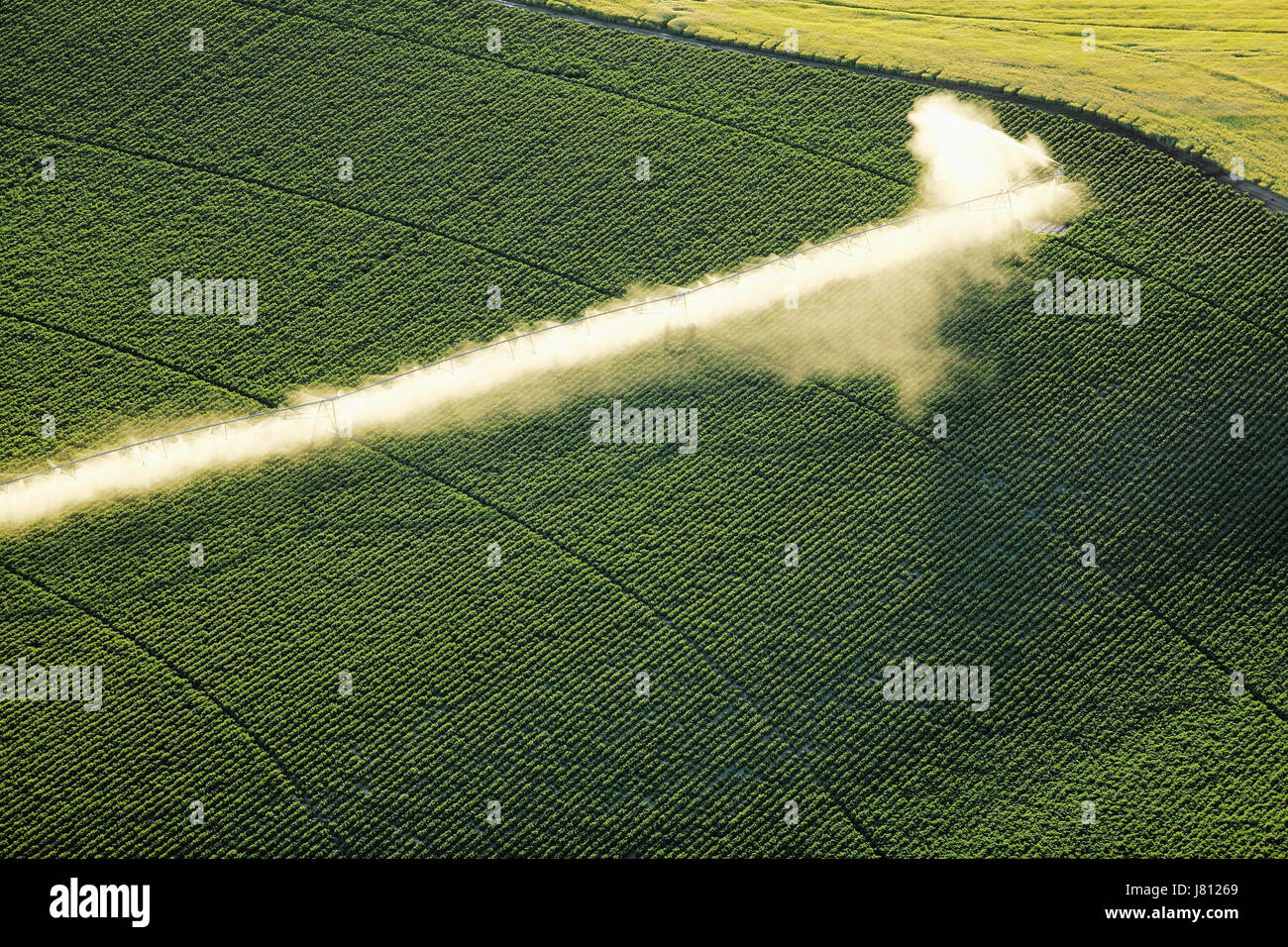 Une vue aérienne des terres agricoles et de pivot d'arrosage arroseurs les champs. Banque D'Images