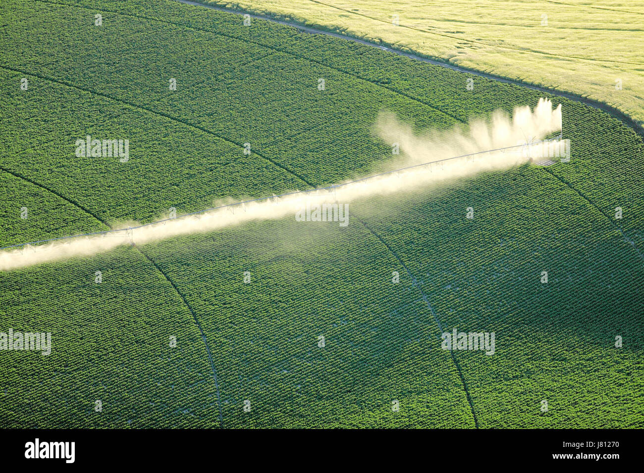 Une vue aérienne des terres agricoles et de pivot d'arrosage arroseurs les champs. Banque D'Images