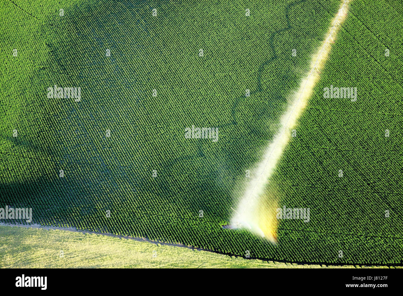 Une vue aérienne des terres agricoles et de pivot d'arrosage arroseurs les champs. Banque D'Images