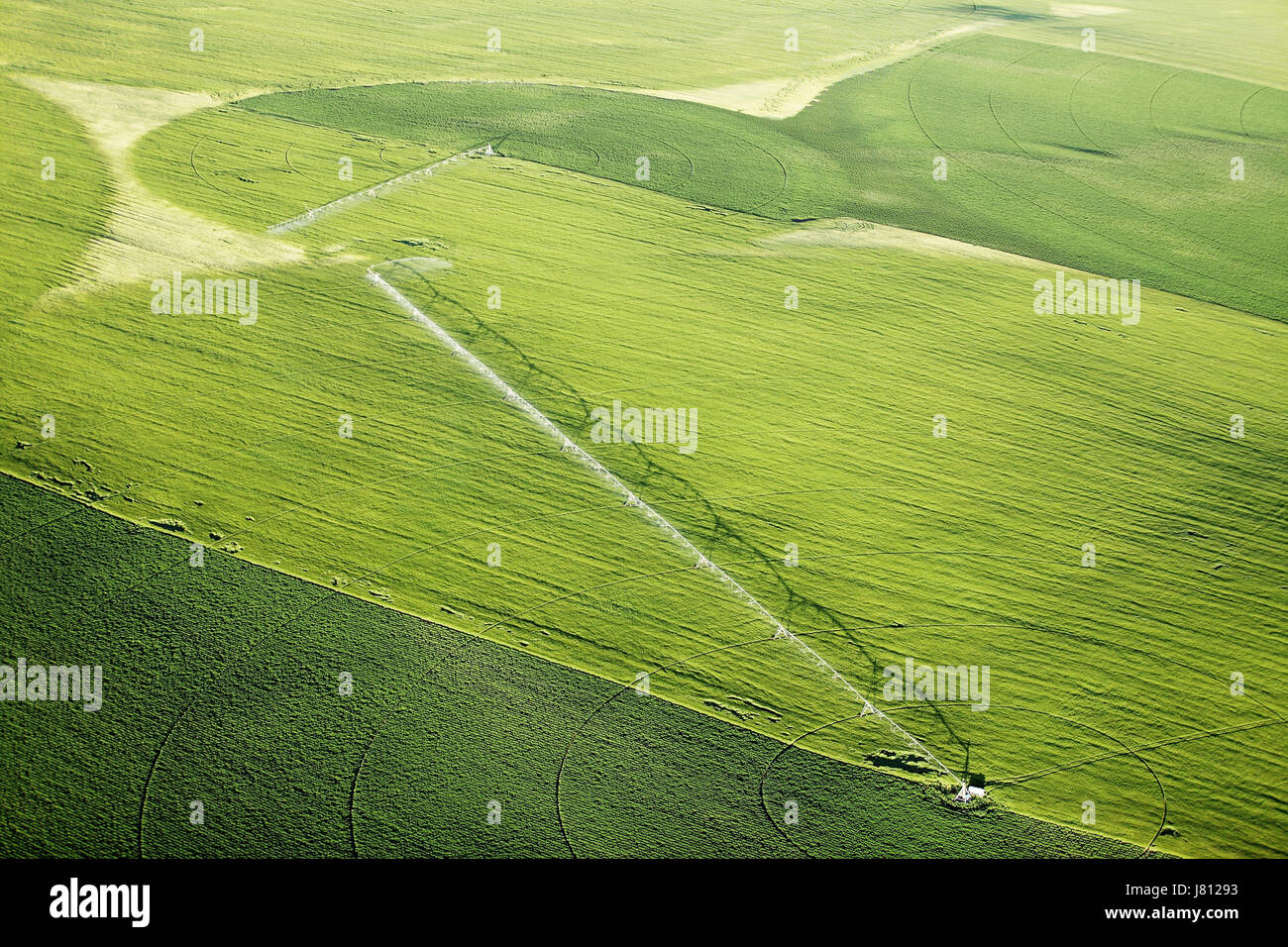 Une vue aérienne des terres agricoles et de pivot d'arrosage arroseurs les champs. Banque D'Images