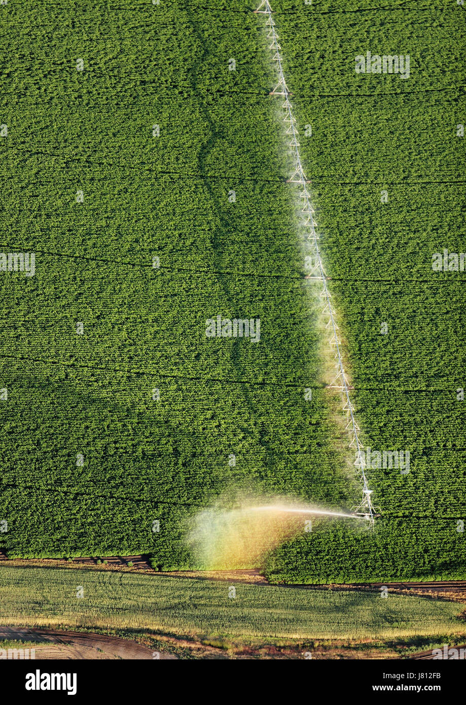 Une vue aérienne des terres agricoles et de pivot d'arrosage arroseurs les champs. Banque D'Images