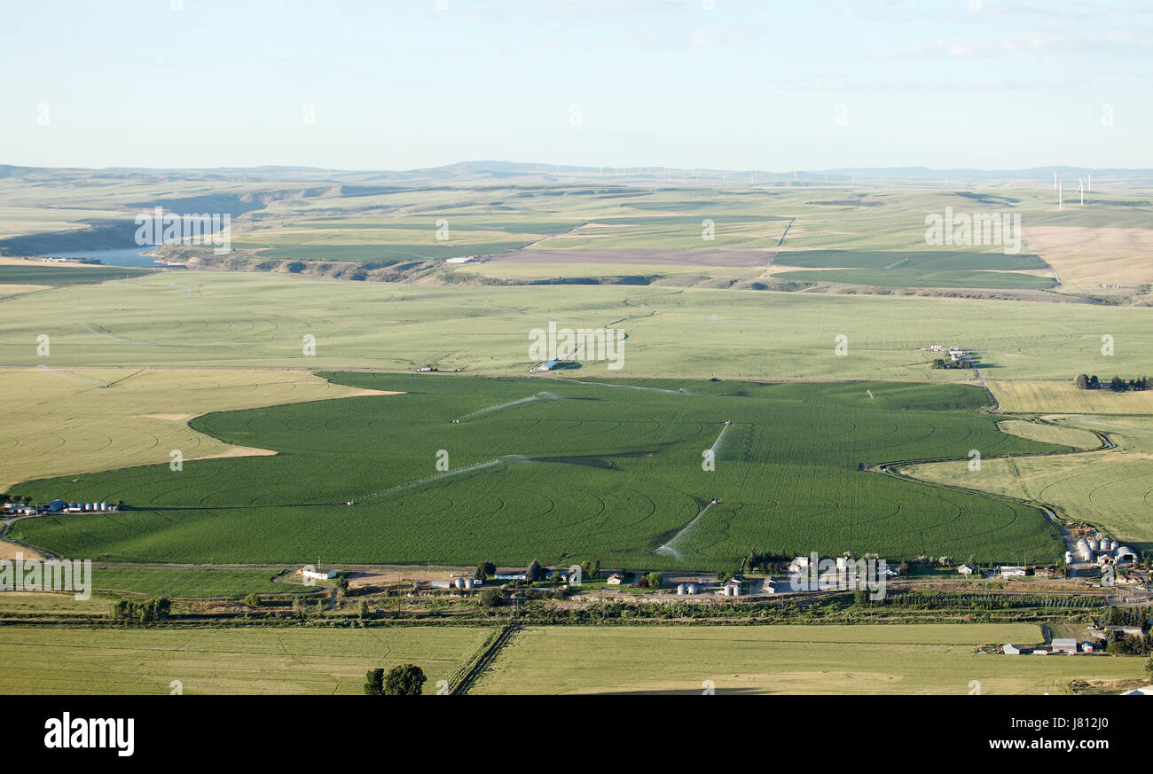 Une vue aérienne des terres agricoles et de pivot d'arrosage arroseurs les champs. Banque D'Images