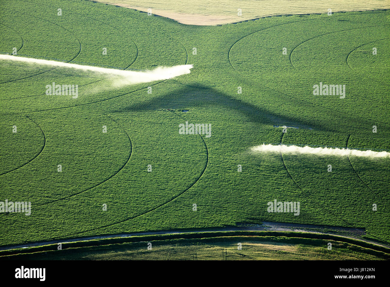Une vue aérienne des terres agricoles et de pivot d'arrosage arroseurs les champs. Banque D'Images