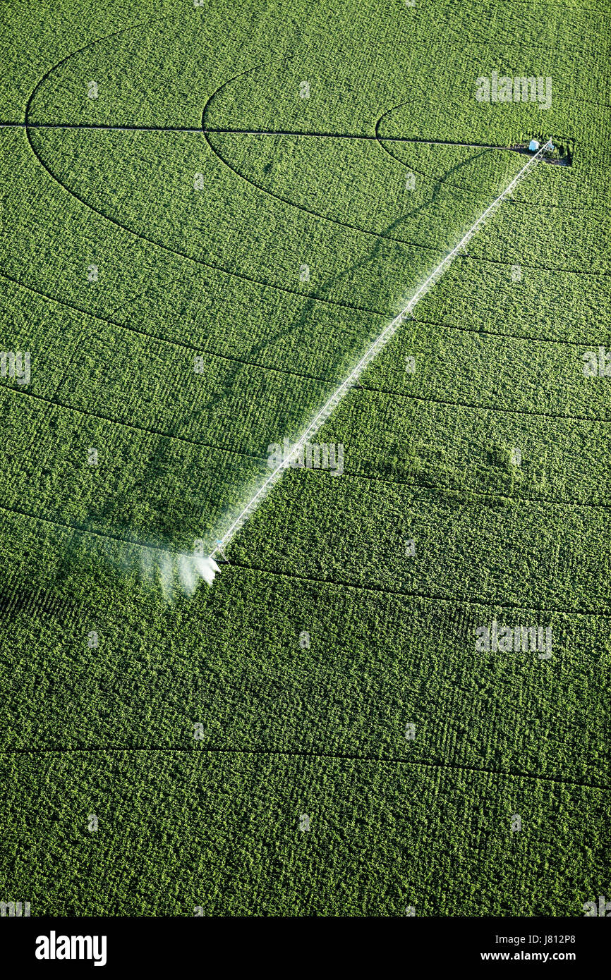 Une vue aérienne des terres agricoles et de pivot d'arrosage arroseurs les champs. Banque D'Images