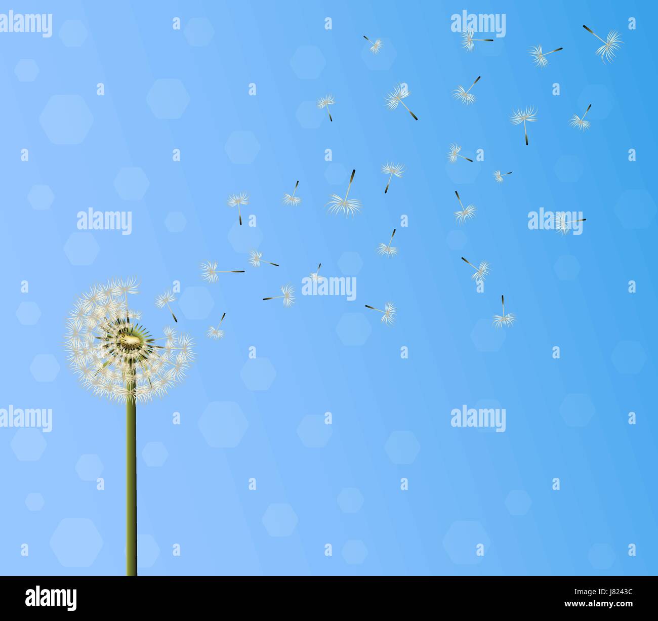 Beaucoup de graines s'échapper d'une fleur de pissenlit sur fond de ciel bleu. Vector illustration breaking free, chemin de vie concept . Illustration de Vecteur