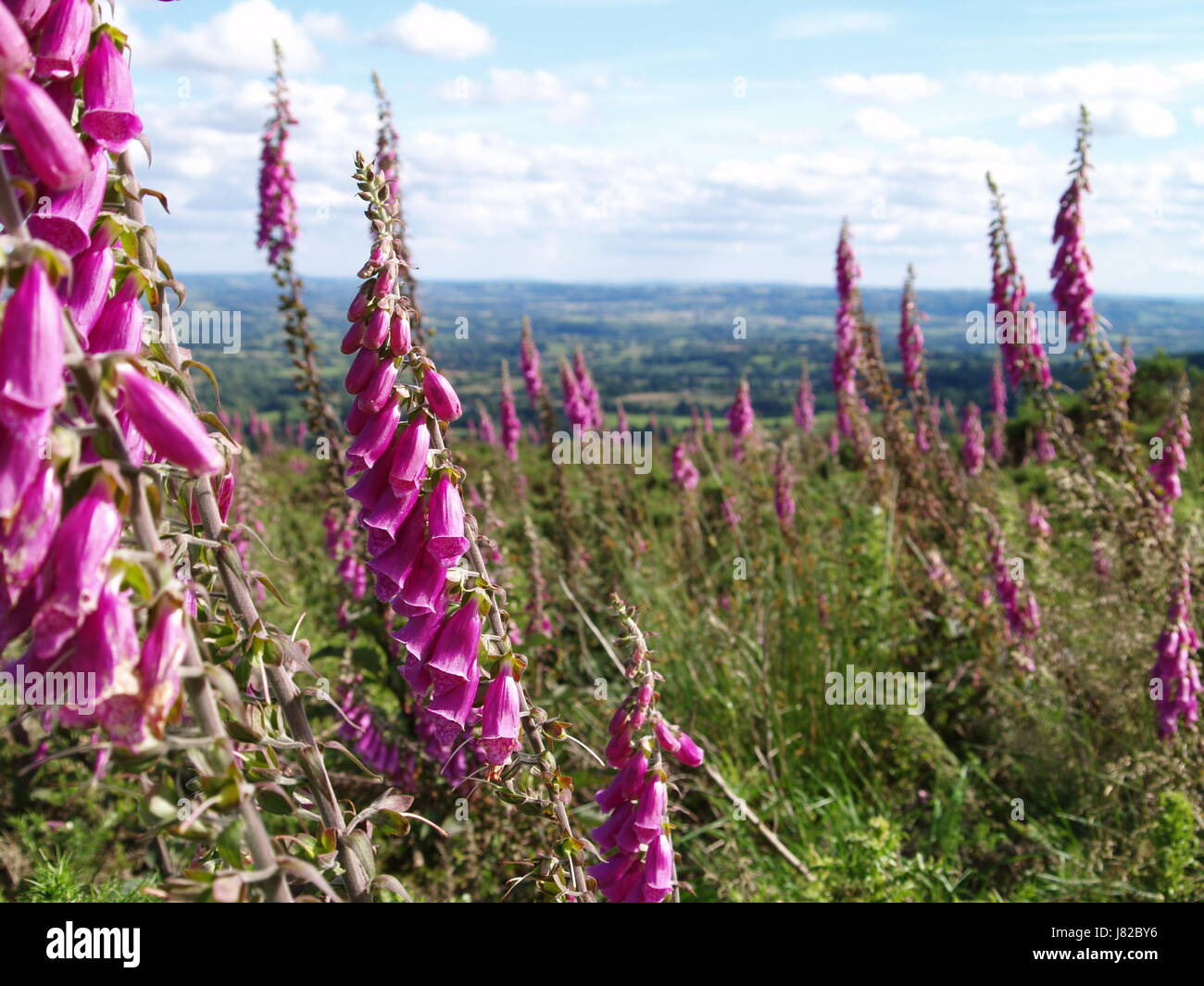 Photographie de paysage Banque D'Images