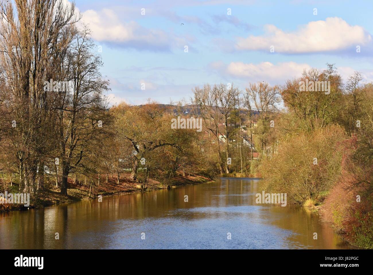 Rivière avec arbres Svratka-Brno-République Tchèque. Banque D'Images