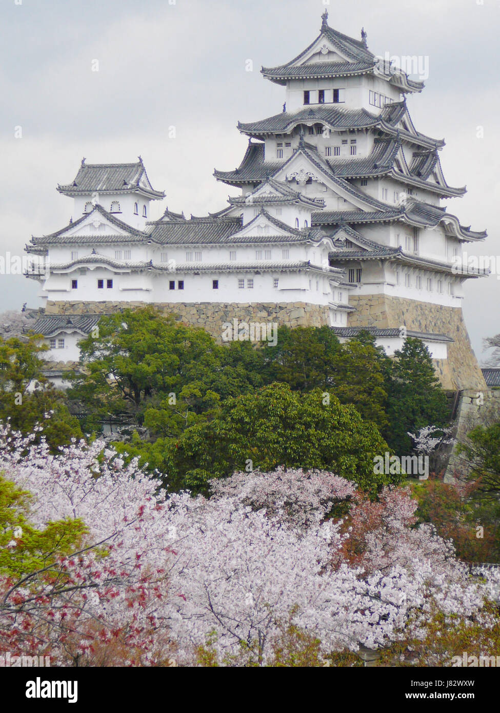 Château chateau japonais lutte combats antiques bois printemps forte de rebondir Banque D'Images