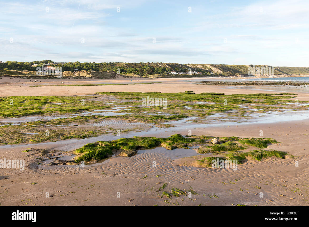 Plage de Port Eynon à marée basse, Gower, Pays de Galles, Royaume-Uni Banque D'Images