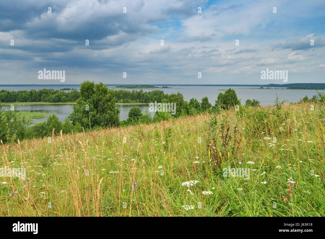 Un champ en automne au Bélarus avec lacs et d'arbres sur l'arrière-plan Banque D'Images
