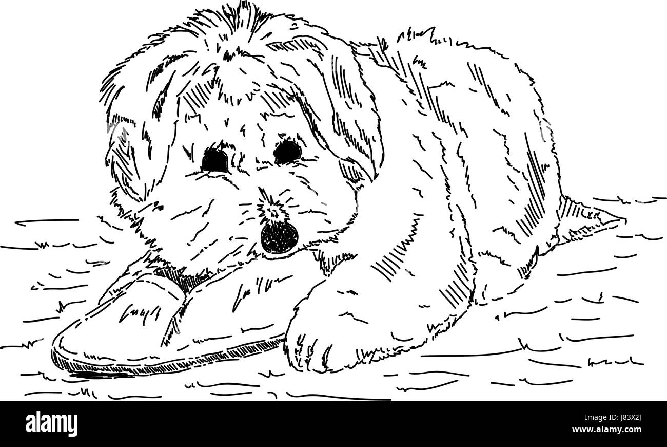 Personnage De Dessin Animé Vecteur Chien Jeu Avec Chien