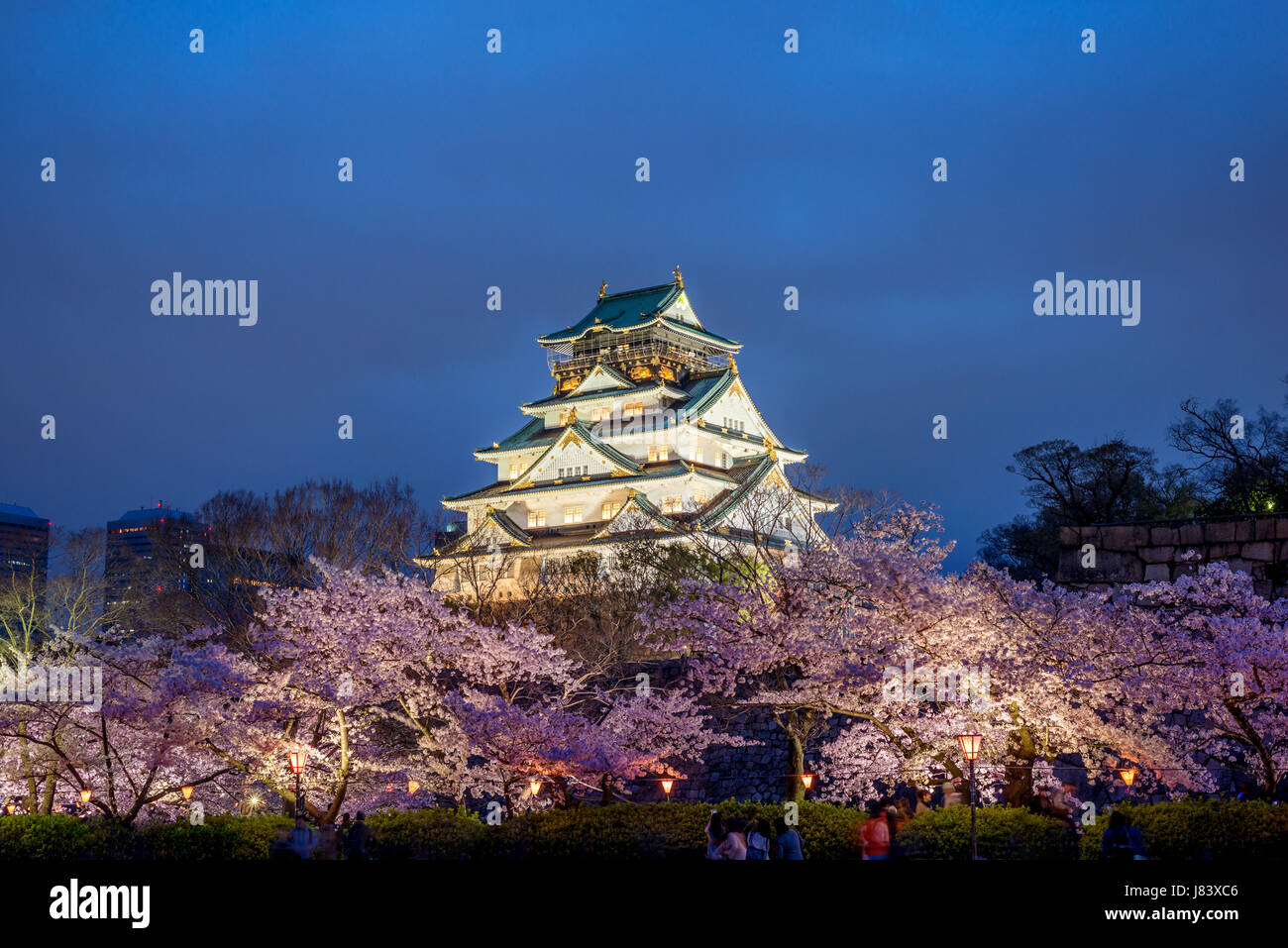 Osaka, Japon au château d'Osaka durant la saison des cerisiers en fleur au printemps. Banque D'Images