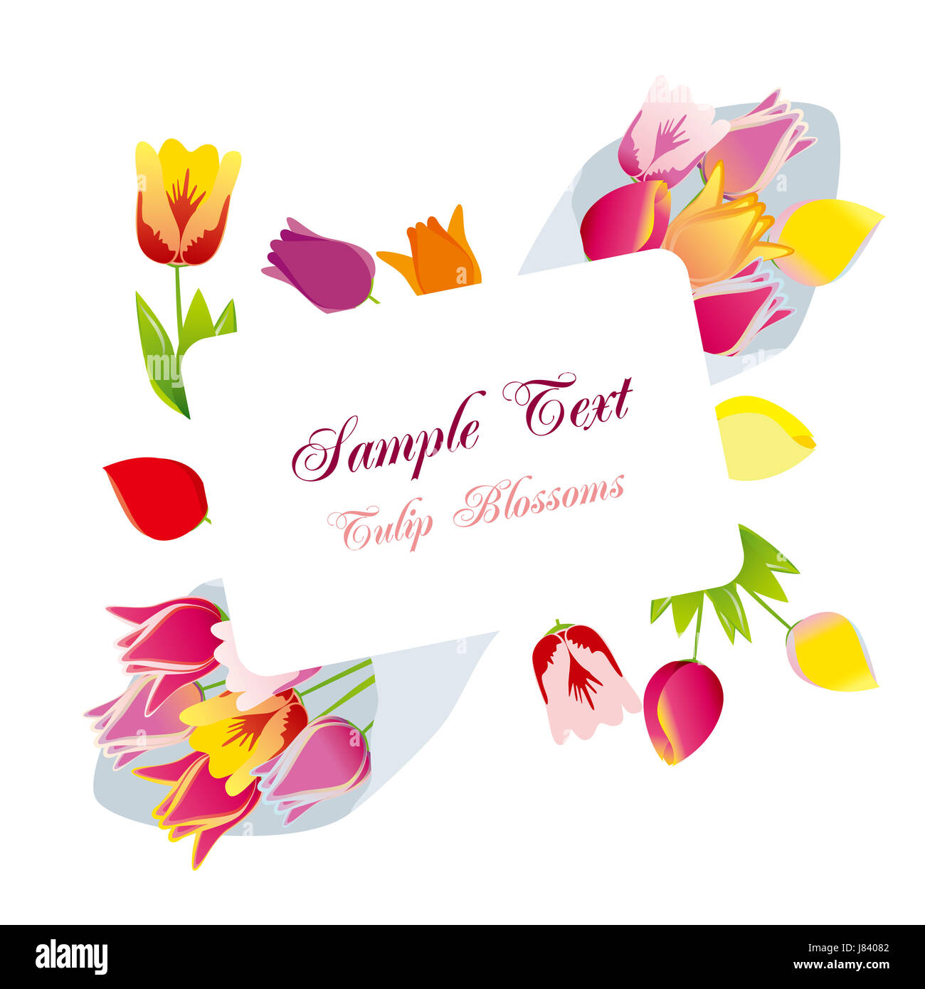 Fleur plante printemps tulipe châssis événement toile fond fond floral cadre Banque D'Images