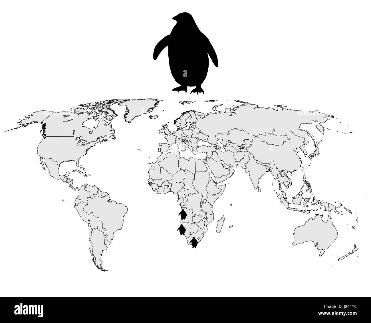En option signal signe animaux oiseaux Afrique Namibie basané noir profond jetblack Banque D'Images