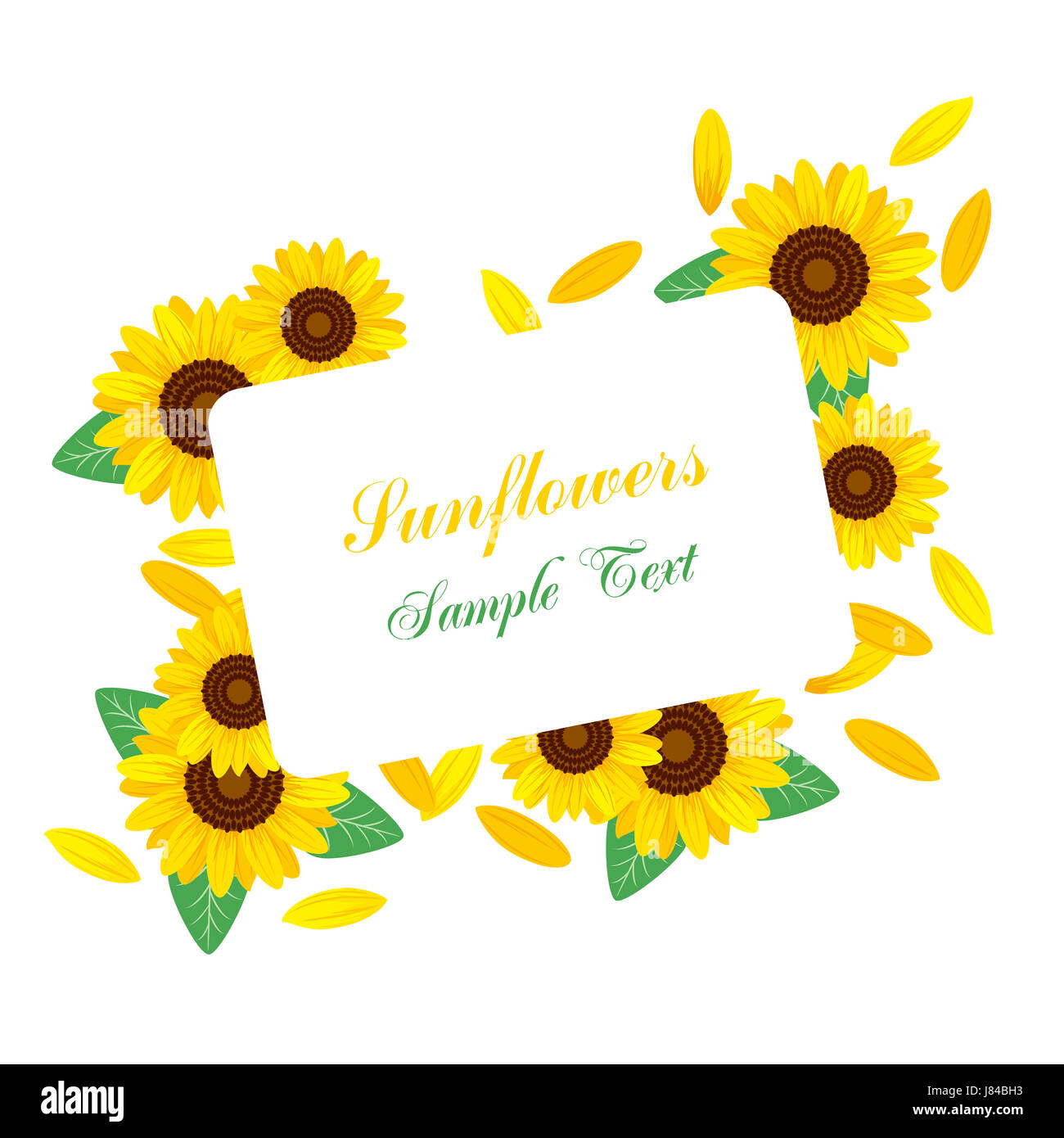 Fleur plante été summerly châssis tournesol enthousiasme amusement joie jouissance Banque D'Images