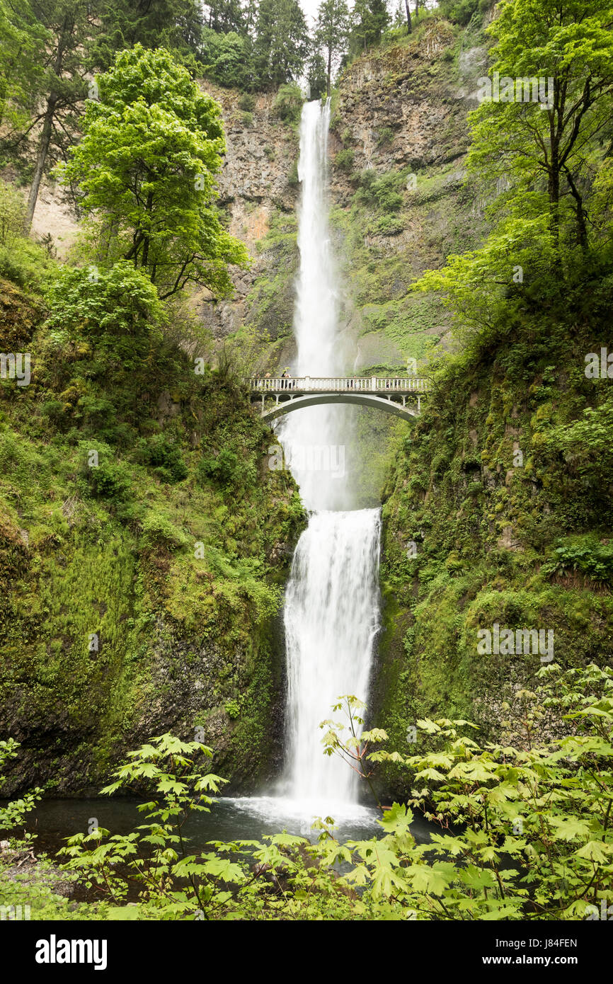 chutes-multnomah-banque-de-photographies-et-d-images-haute-r-solution