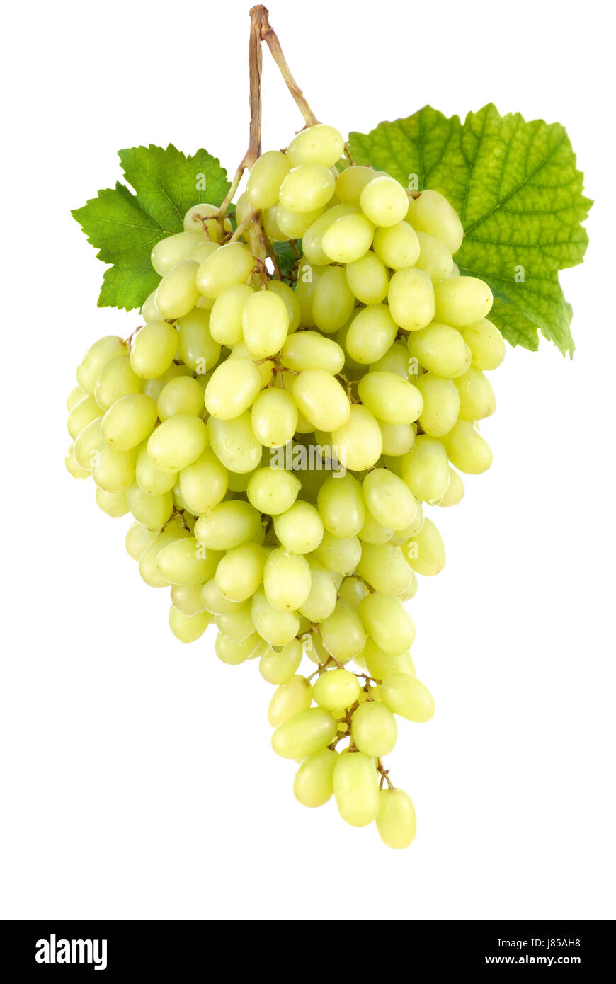Les raisins mûrs fruits isolés progénitures fruits grappes de raisin gelée blanche apart Banque D'Images