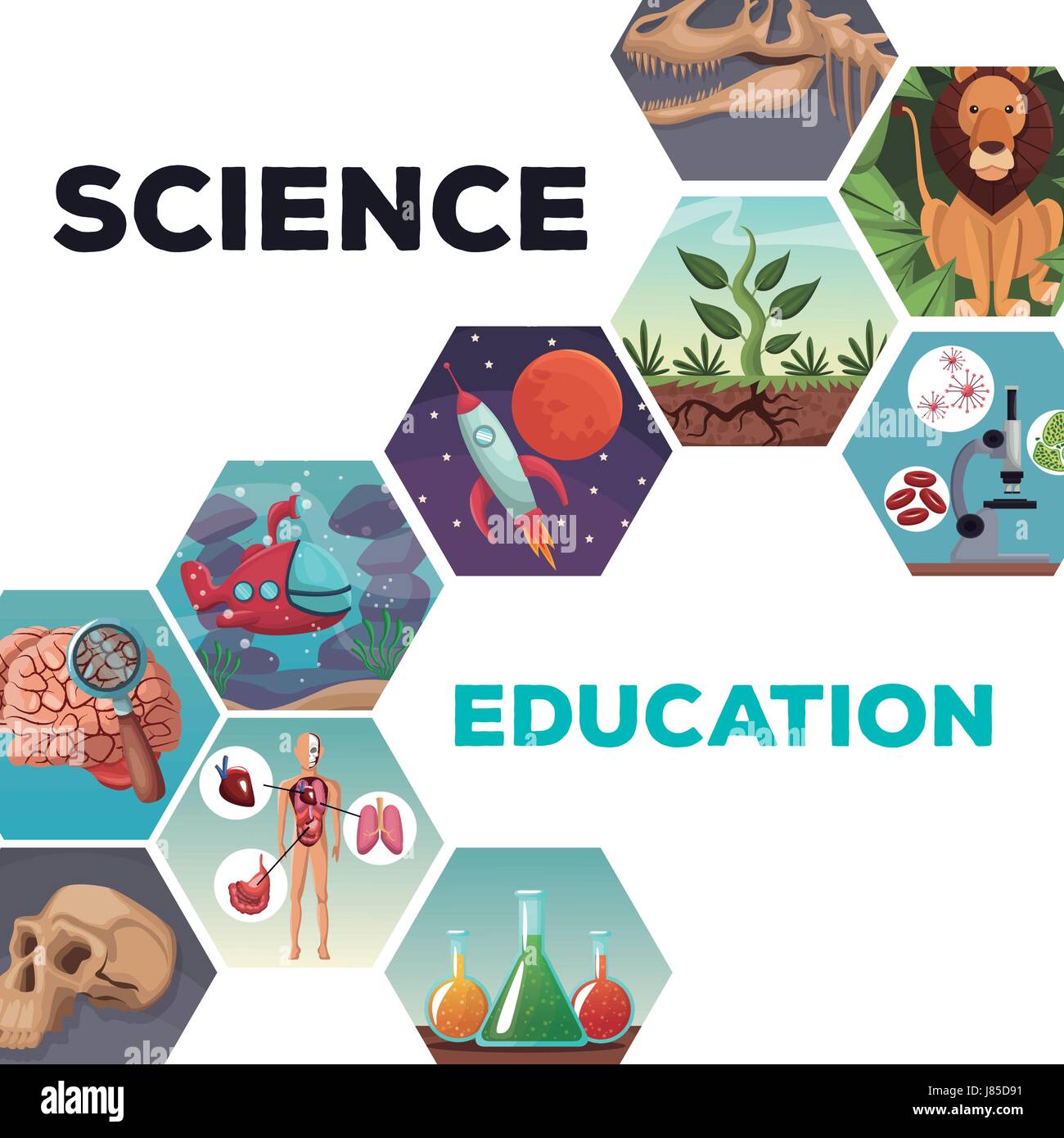 Page couverture de la science et de l'éducation avec des icônes de l'évolution du monde Illustration de Vecteur