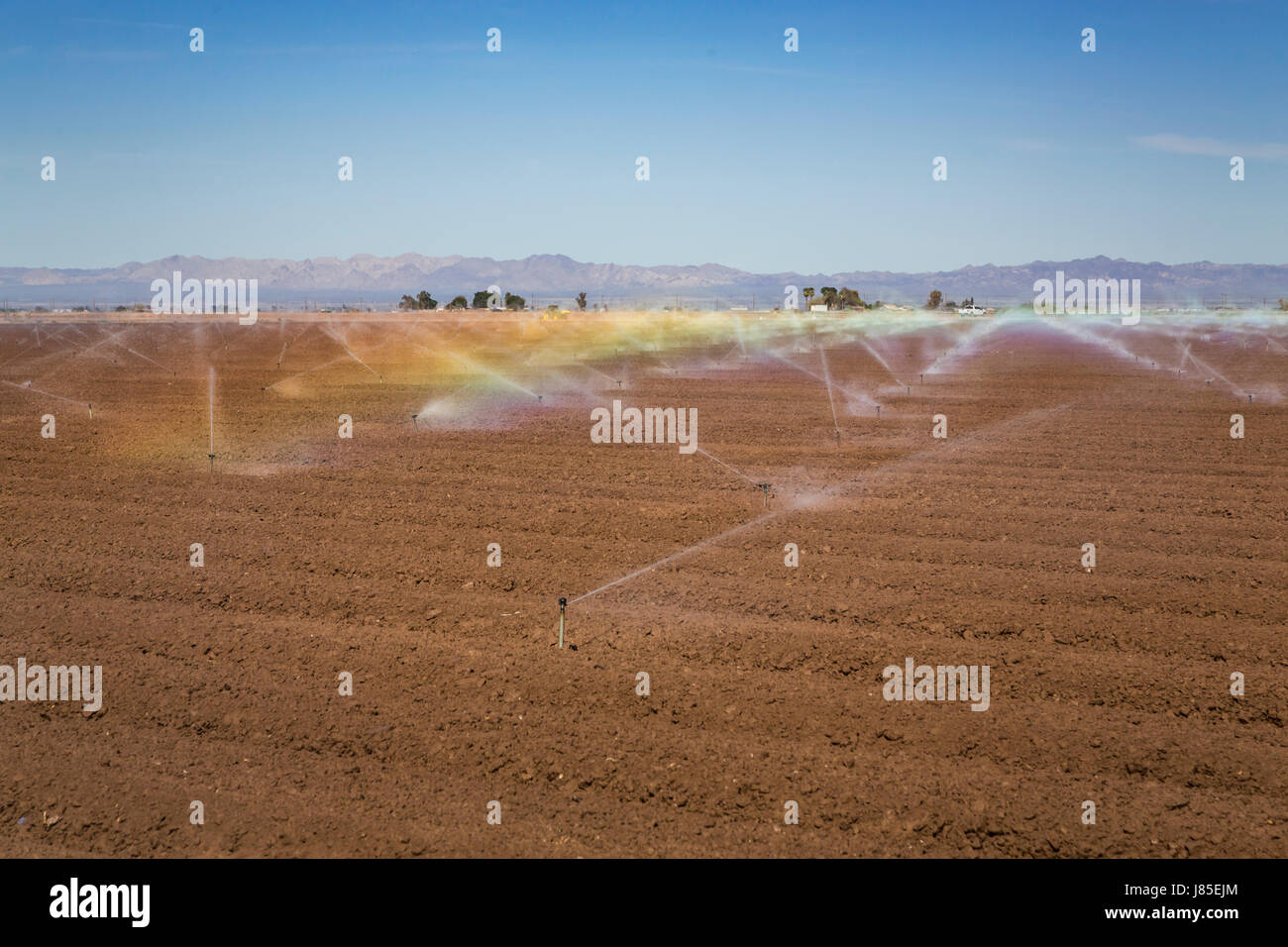Irrigation des champs dans la Vallée impériale de la Californie, USA. Banque D'Images