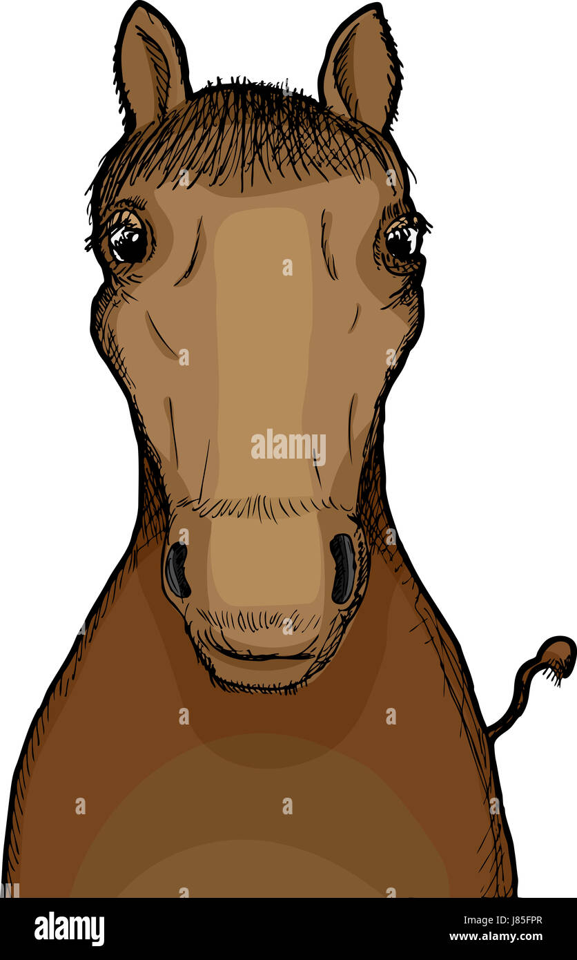 Mammifère cheval isolé photo dessin illustration photo image copy déduction Banque D'Images