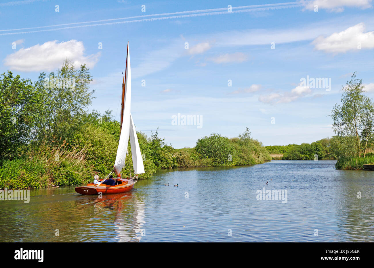 Un couple de personnes âgées la voile sur la digue de la flotte dans les Norfolk Broads Parc national à South Walsham, Norfolk, Angleterre, Royaume-Uni. Banque D'Images