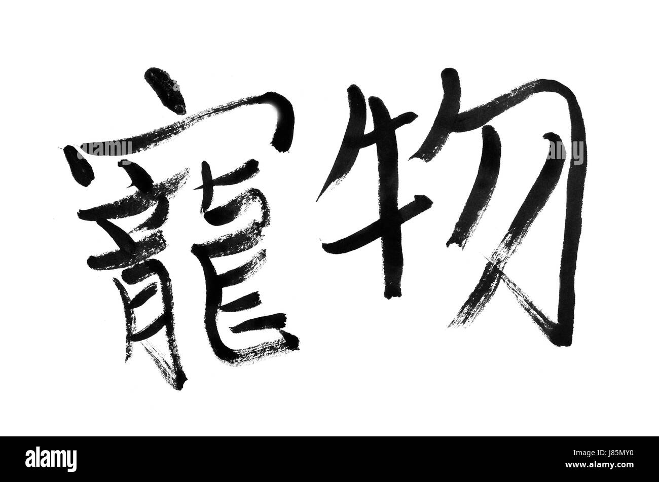 Oriental traditionnel animal préféré écrire écriture darling a écrit écrit Banque D'Images