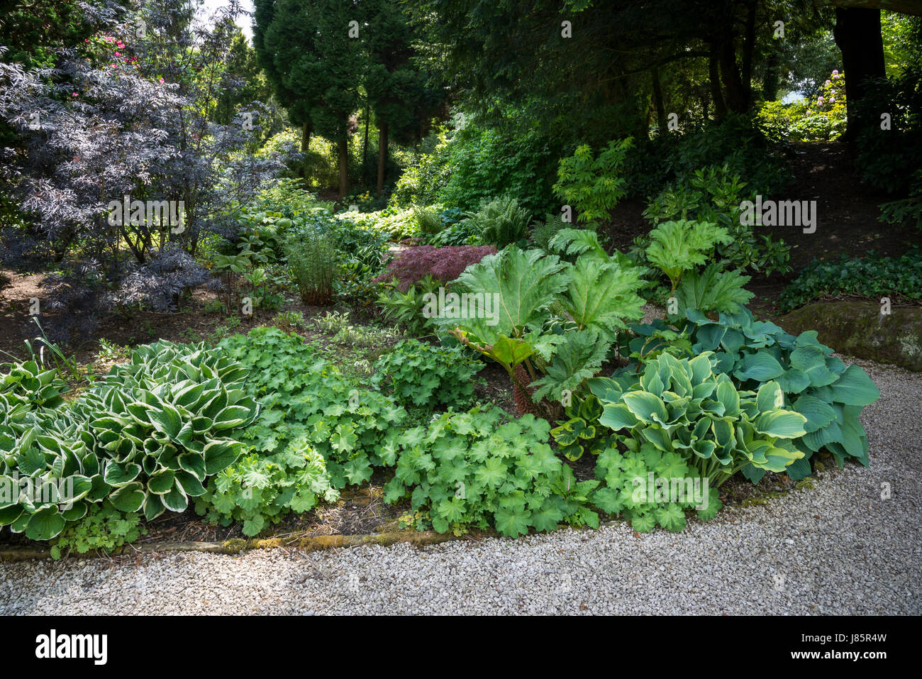 Les jardins de l'hôtel de Thornbridge près de Great Longstone, Derbyshire, Angleterre. Banque D'Images