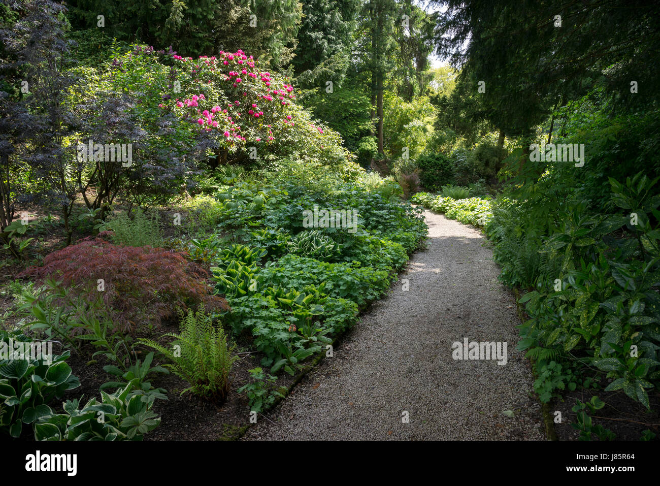 Les jardins de l'hôtel de Thornbridge près de Great Longstone, Derbyshire, Angleterre. Banque D'Images